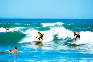 Best Surf Beaches Guide: Locations & Tips Learn to Surf & Skate: A Beginner's Step-by-Step Guide Best Surf Beaches Guide: Locations & Tips | Learn to Surf & Skate: A Beginner's Step-by-Step Guide