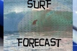 WPTV Surf Report: Beaches Near Me + Conditions Learn to Surf & Skate: A Beginner's Step-by-Step Guide WPTV Surf Report: Beaches Near Me + Conditions | Learn to Surf & Skate: A Beginner's Step-by-Step Guide