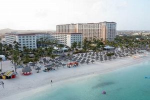 Marriott's Aruba Surf Club Prices: A Cost Guide & Tips! Learn to Surf & Skate: A Beginner's Step-by-Step Guide Marriott's Aruba Surf Club Prices: A Cost Guide & Tips! | Learn to Surf & Skate: A Beginner's Step-by-Step Guide