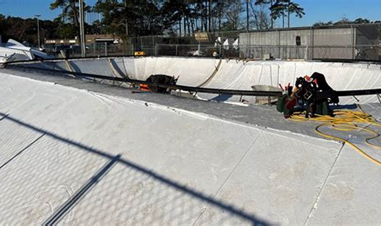 Myrtle Beach Skate Parks: Find Your Grind Spot! Learn to Surf & Skate: A Beginner's Step-by-Step Guide Myrtle Beach Skate Parks: Find Your Grind Spot! | Learn to Surf & Skate: A Beginner's Step-by-Step Guide