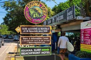 Learn to Surf: Iguana Surf Camp & Shop in Costa Rica Learn to Surf & Skate: A Beginner's Step-by-Step Guide Learn to Surf: Iguana Surf Camp & Shop in Costa Rica | Learn to Surf & Skate: A Beginner's Step-by-Step Guide