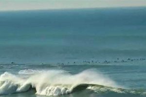Watch Mavericks Surf Cam Live: Big Wave Action Now! Learn to Surf & Skate: A Beginner's Step-by-Step Guide Watch Mavericks Surf Cam Live: Big Wave Action Now! | Learn to Surf & Skate: A Beginner's Step-by-Step Guide