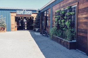 Your Proof Lab Surf Shop: Gear, Guides & Good Vibes! Learn to Surf & Skate: A Beginner's Step-by-Step Guide Your Proof Lab Surf Shop: Gear, Guides & Good Vibes! | Learn to Surf & Skate: A Beginner's Step-by-Step Guide