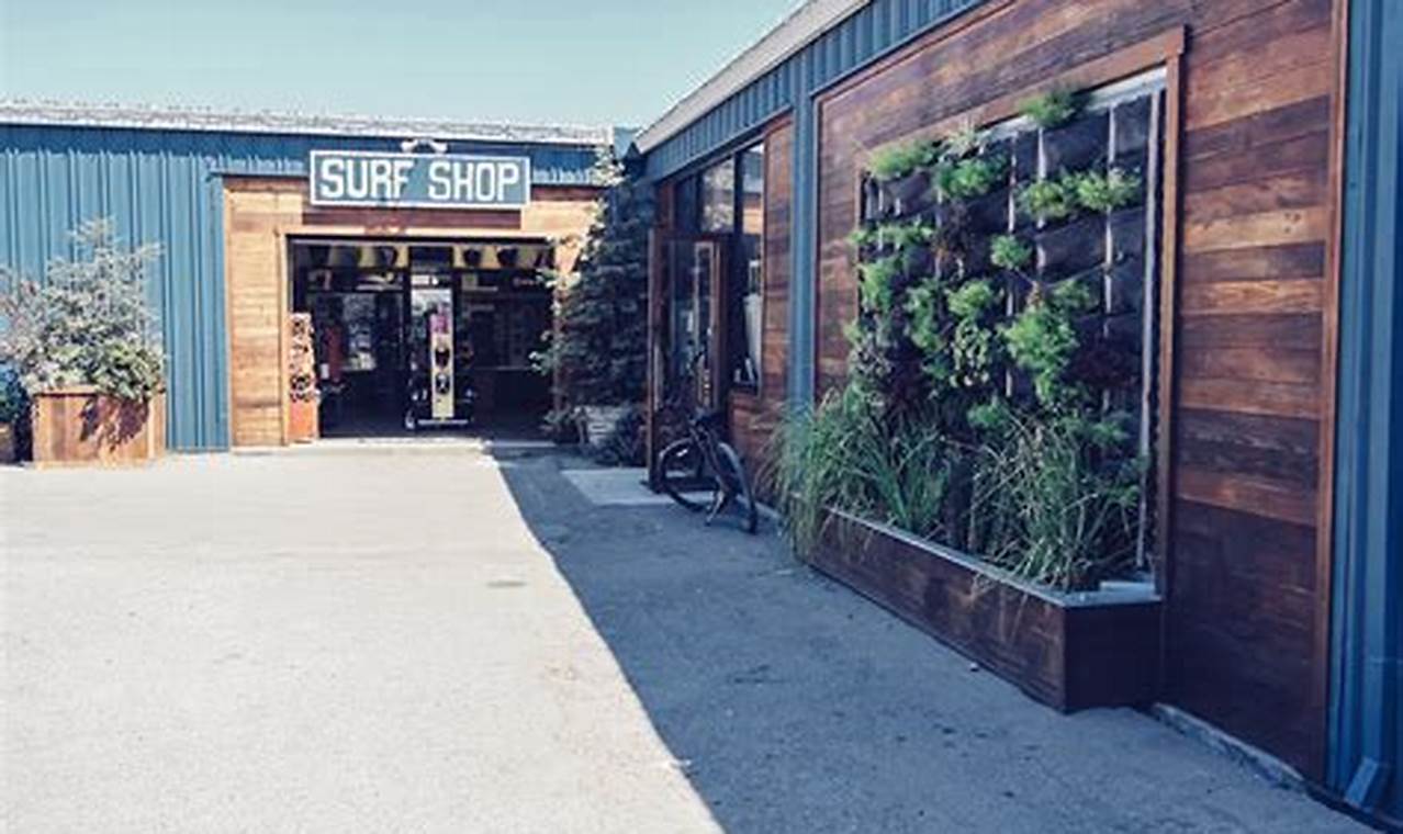 Your Proof Lab Surf Shop: Gear, Guides & Good Vibes! Learn to Surf & Skate: A Beginner's Step-by-Step Guide Your Proof Lab Surf Shop: Gear, Guides & Good Vibes! | Learn to Surf & Skate: A Beginner's Step-by-Step Guide