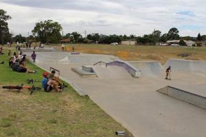 Explore BMX and Skate Parks: Fun for All Ages! Learn to Surf & Skate: A Beginner's Step-by-Step Guide Explore BMX and Skate Parks: Fun for All Ages! | Learn to Surf & Skate: A Beginner's Step-by-Step Guide