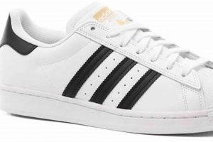 Best Adidas Superstar Skate Shoes: Style & Performance! Learn to Surf & Skate: A Beginner's Step-by-Step Guide Best Adidas Superstar Skate Shoes: Style & Performance! | Learn to Surf & Skate: A Beginner's Step-by-Step Guide
