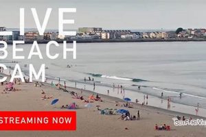 Hampton Beach Surf Cam NH: See Conditions Live! Learn to Surf & Skate: A Beginner's Step-by-Step Guide Hampton Beach Surf Cam NH: See Conditions Live! | Learn to Surf & Skate: A Beginner's Step-by-Step Guide