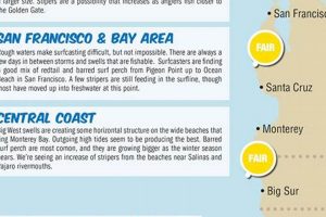 The Ultimate Surf Fishing Report: [Location] Tips &amp; More! | Learn to Surf & Skate: A Beginner's Step-by-Step Guide