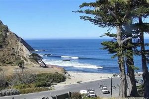 Your Malibu CA Surf Report: Local Wave Guide Learn to Surf & Skate: A Beginner's Step-by-Step Guide Your Malibu CA Surf Report: Local Wave Guide | Learn to Surf & Skate: A Beginner's Step-by-Step Guide