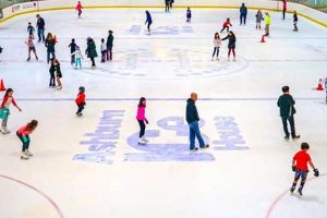 Ashburn Ice House Public Skate: Fun for Everyone! Learn to Surf & Skate: A Beginner's Step-by-Step Guide Ashburn Ice House Public Skate: Fun for Everyone! | Learn to Surf & Skate: A Beginner's Step-by-Step Guide
