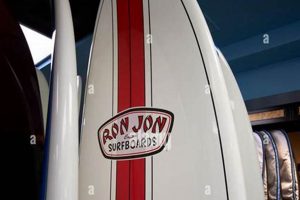 Your Daytona Surf Shop Guide: Gear, Rentals & More Learn to Surf & Skate: A Beginner's Step-by-Step Guide Your Daytona Surf Shop Guide: Gear, Rentals & More | Learn to Surf & Skate: A Beginner's Step-by-Step Guide
