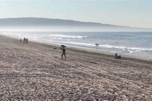 Your Guide: Manhattan Beach Surf Report + Forecast Learn to Surf & Skate: A Beginner's Step-by-Step Guide Your Guide: Manhattan Beach Surf Report + Forecast | Learn to Surf & Skate: A Beginner's Step-by-Step Guide
