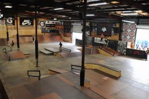 Your Guide: Tampa Skate Shop Spots & Gear [Year] | Learn to Surf & Skate: A Beginner's Step-by-Step Guide