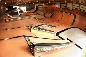Find Your Best Skate Park Near Me: Top Local Spots! Learn to Surf & Skate: A Beginner's Step-by-Step Guide Find Your Best Skate Park Near Me: Top Local Spots! | Learn to Surf & Skate: A Beginner's Step-by-Step Guide