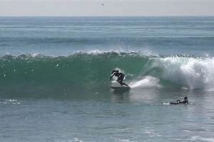Your Guide: Surfing Topanga Beach Like a Pro Learn to Surf & Skate: A Beginner's Step-by-Step Guide Your Guide: Surfing Topanga Beach Like a Pro | Learn to Surf & Skate: A Beginner's Step-by-Step Guide