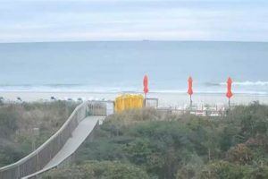 Atlantic Beach Surf Cam: Live Views & Surf Report Learn to Surf & Skate: A Beginner's Step-by-Step Guide Atlantic Beach Surf Cam: Live Views & Surf Report | Learn to Surf & Skate: A Beginner's Step-by-Step Guide