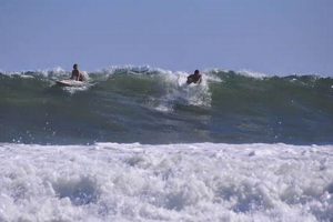 Your Guide to Surfing Long Beach NY: Waves & More Learn to Surf & Skate: A Beginner's Step-by-Step Guide Your Guide to Surfing Long Beach NY: Waves & More | Learn to Surf & Skate: A Beginner's Step-by-Step Guide