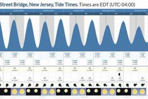 Understanding Surf City High Tide: Safety & Impacts Learn to Surf & Skate: A Beginner's Step-by-Step Guide Understanding Surf City High Tide: Safety & Impacts | Learn to Surf & Skate: A Beginner's Step-by-Step Guide