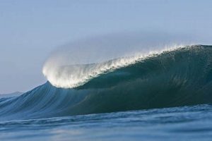 Pipeline Hawaii Surf Report: Today's Conditions & Forecast Learn to Surf & Skate: A Beginner's Step-by-Step Guide Pipeline Hawaii Surf Report: Today's Conditions & Forecast | Learn to Surf & Skate: A Beginner's Step-by-Step Guide