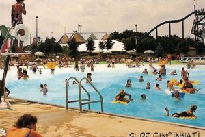 Splash into Fun! Surf City Cincinnati Adventure Learn to Surf & Skate: A Beginner's Step-by-Step Guide Splash into Fun! Surf City Cincinnati Adventure | Learn to Surf & Skate: A Beginner's Step-by-Step Guide