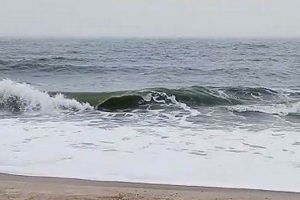 Fernandina Surf: Your Local Surf Report Fernandina Forecast Learn to Surf & Skate: A Beginner's Step-by-Step Guide Fernandina Surf: Your Local Surf Report Fernandina Forecast | Learn to Surf & Skate: A Beginner's Step-by-Step Guide