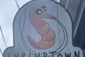 Your Local Shrimptown Skate Shop | Gear & More Learn to Surf & Skate: A Beginner's Step-by-Step Guide Your Local Shrimptown Skate Shop | Gear & More | Learn to Surf & Skate: A Beginner's Step-by-Step Guide