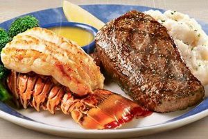 Best Surf & Turf? Red Lobster's Delicious Take! Learn to Surf & Skate: A Beginner's Step-by-Step Guide Best Surf & Turf? Red Lobster's Delicious Take! | Learn to Surf & Skate: A Beginner's Step-by-Step Guide