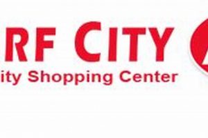 Your Surf City IGA Guide: Groceries &amp; More in Paradise! | Learn to Surf & Skate: A Beginner's Step-by-Step Guide