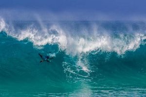 Hapuna Beach Surf Report: Waves & Conditions Today Learn to Surf & Skate: A Beginner's Step-by-Step Guide Hapuna Beach Surf Report: Waves & Conditions Today | Learn to Surf & Skate: A Beginner's Step-by-Step Guide