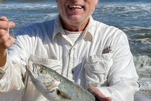 OBX Surf Fishing Reports: Hot Bites & Beach Angling Tips Learn to Surf & Skate: A Beginner's Step-by-Step Guide OBX Surf Fishing Reports: Hot Bites & Beach Angling Tips | Learn to Surf & Skate: A Beginner's Step-by-Step Guide