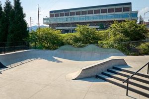 Asheville NC Skate Parks Guide: Best Spots & Tips Learn to Surf & Skate: A Beginner's Step-by-Step Guide Asheville NC Skate Parks Guide: Best Spots & Tips | Learn to Surf & Skate: A Beginner's Step-by-Step Guide