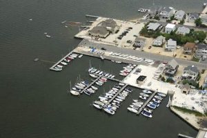 Your Guide to Surf City Yacht Club, Surf City, NJ! Learn to Surf & Skate: A Beginner's Step-by-Step Guide Your Guide to Surf City Yacht Club, Surf City, NJ! | Learn to Surf & Skate: A Beginner's Step-by-Step Guide