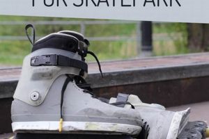 Find Your Local Inline Skate Park Guide + Tips Learn to Surf & Skate: A Beginner's Step-by-Step Guide Find Your Local Inline Skate Park Guide + Tips | Learn to Surf & Skate: A Beginner's Step-by-Step Guide