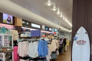 Your Guide: Ron Jon Surf Shop Clearwater Beach, FL Learn to Surf & Skate: A Beginner's Step-by-Step Guide Your Guide: Ron Jon Surf Shop Clearwater Beach, FL | Learn to Surf & Skate: A Beginner's Step-by-Step Guide