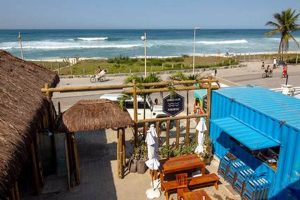 Find Your Longboard Paradise Surf Club + Tips | Learn to Surf & Skate: A Beginner's Step-by-Step Guide