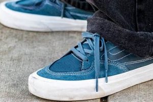 Top-Rated Best Vans Skate Shoes: Performance & Style | Learn to Surf & Skate: A Beginner's Step-by-Step Guide