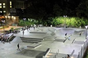 Best Skate Park Austin TX: Locations & Tips | Learn to Surf & Skate: A Beginner's Step-by-Step Guide
