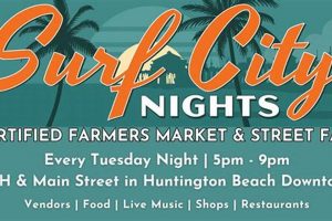 Visit Surf City Nights: Street Fair & Farmers' Market Fun! | Learn to Surf & Skate: A Beginner's Step-by-Step Guide