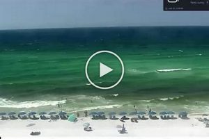 Live Okaloosa Surf Cam: See Okaloosa Beach Conditions Now! | Learn to Surf & Skate: A Beginner's Step-by-Step Guide