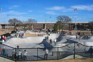 Best OKC Skate Parks: Locations &amp; Tips! | Learn to Surf & Skate: A Beginner's Step-by-Step Guide
