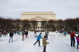 Best Ice Skate in DC: Rinks & Tips! Learn to Surf & Skate: A Beginner's Step-by-Step Guide Best Ice Skate in DC: Rinks & Tips! | Learn to Surf & Skate: A Beginner's Step-by-Step Guide