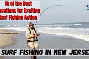 NJ Surf Fishing Report: Latest Catches & Spots [Updated] | Learn to Surf & Skate: A Beginner's Step-by-Step Guide