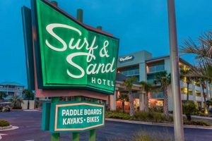 Your Surf & Sand Hotel: Beachfront Bliss Awaits | Learn to Surf & Skate: A Beginner's Step-by-Step Guide