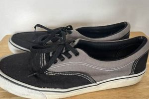 Size 12: Best Mens Skate Shoes for Ultimate Performance | Learn to Surf & Skate: A Beginner's Step-by-Step Guide