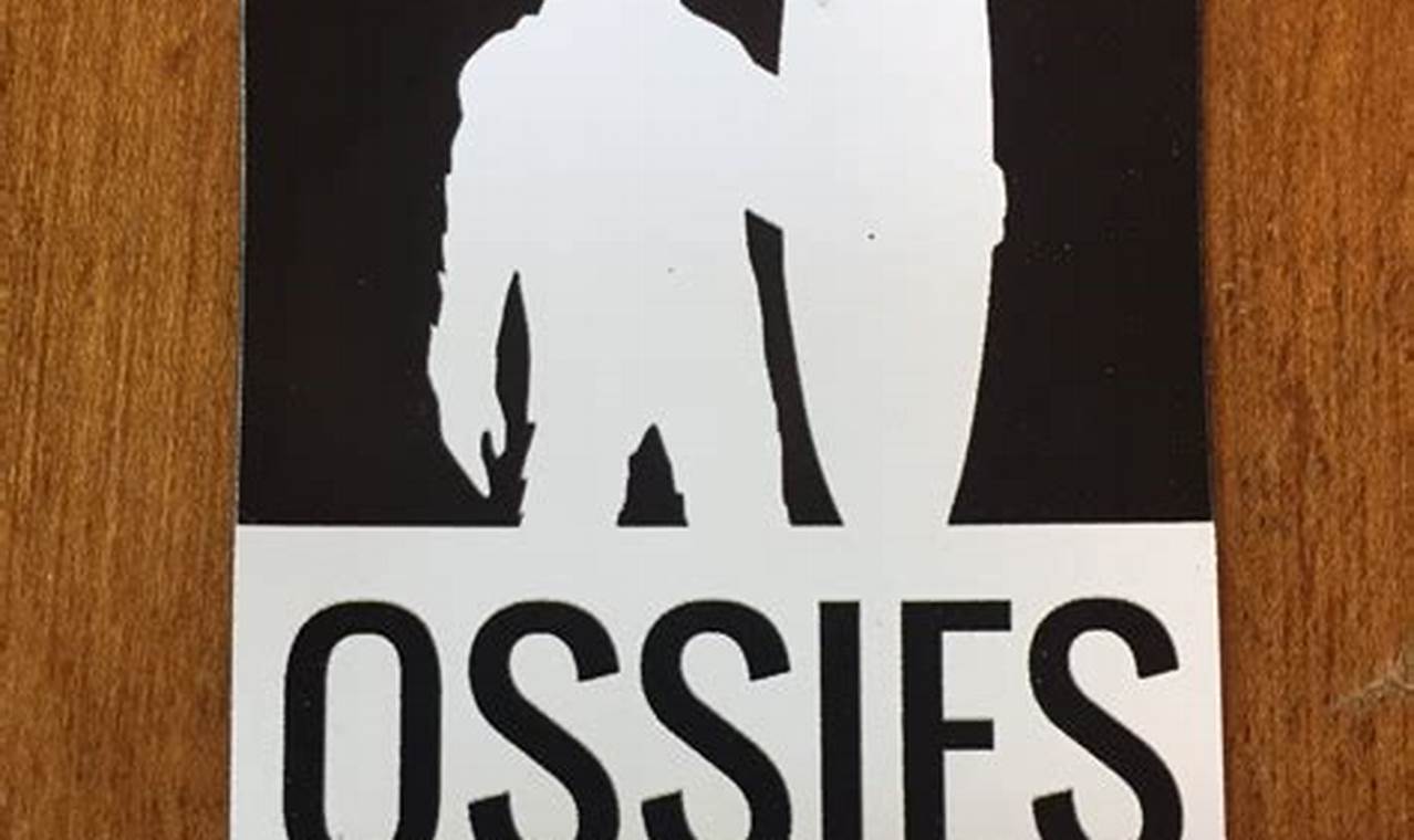 Your Local: Ossies Surf Shop Boards, Gear & More! Learn to Surf & Skate: A Beginner's Step-by-Step Guide Your Local: Ossies Surf Shop Boards, Gear & More! | Learn to Surf & Skate: A Beginner's Step-by-Step Guide