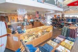 Your Guide to Channel Islands Surf Shop & Gear Tips Learn to Surf & Skate: A Beginner's Step-by-Step Guide Your Guide to Channel Islands Surf Shop & Gear Tips | Learn to Surf & Skate: A Beginner's Step-by-Step Guide