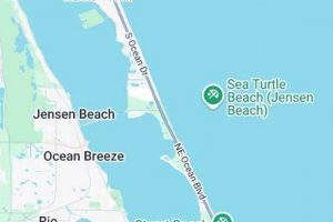 Your Jensen Beach Surf Report: Local Wave Guide Learn to Surf & Skate: A Beginner's Step-by-Step Guide Your Jensen Beach Surf Report: Local Wave Guide | Learn to Surf & Skate: A Beginner's Step-by-Step Guide