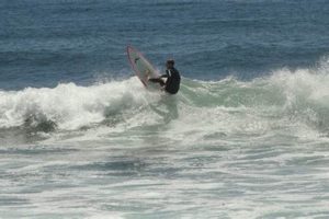La Jolla Surf Report CA: Today's Waves & Forecast! Learn to Surf & Skate: A Beginner's Step-by-Step Guide La Jolla Surf Report CA: Today's Waves & Forecast! | Learn to Surf & Skate: A Beginner's Step-by-Step Guide
