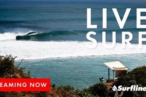 Watch Live Surf Cam Now: Real-Time Beach Views | Learn to Surf & Skate: A Beginner's Step-by-Step Guide