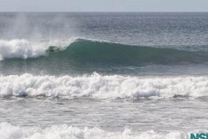 Your Nicaragua Surf Report: Waves Now + Forecast Learn to Surf & Skate: A Beginner's Step-by-Step Guide Your Nicaragua Surf Report: Waves Now + Forecast | Learn to Surf & Skate: A Beginner's Step-by-Step Guide
